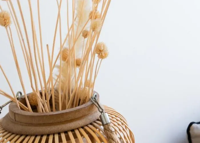 Appartement Le St Roch 2