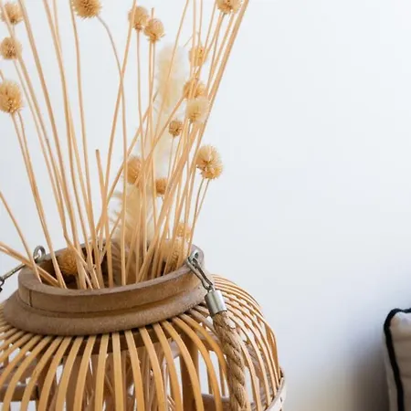 Apartamento Le St Roch 2